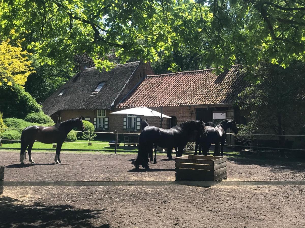 De Swaenhoeve Zoersel エクステリア 写真