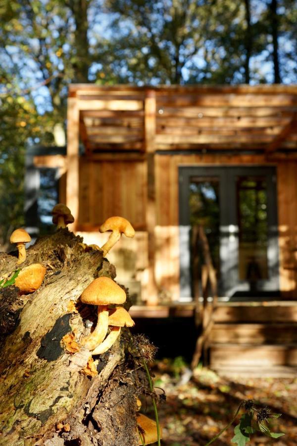 De Swaenhoeve Zoersel エクステリア 写真