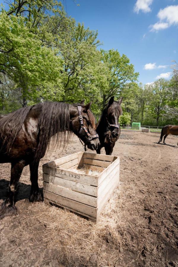 De Swaenhoeve Zoersel エクステリア 写真