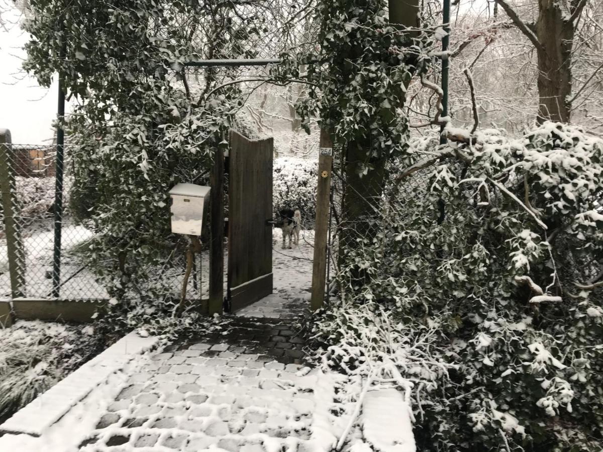 De Swaenhoeve Zoersel エクステリア 写真