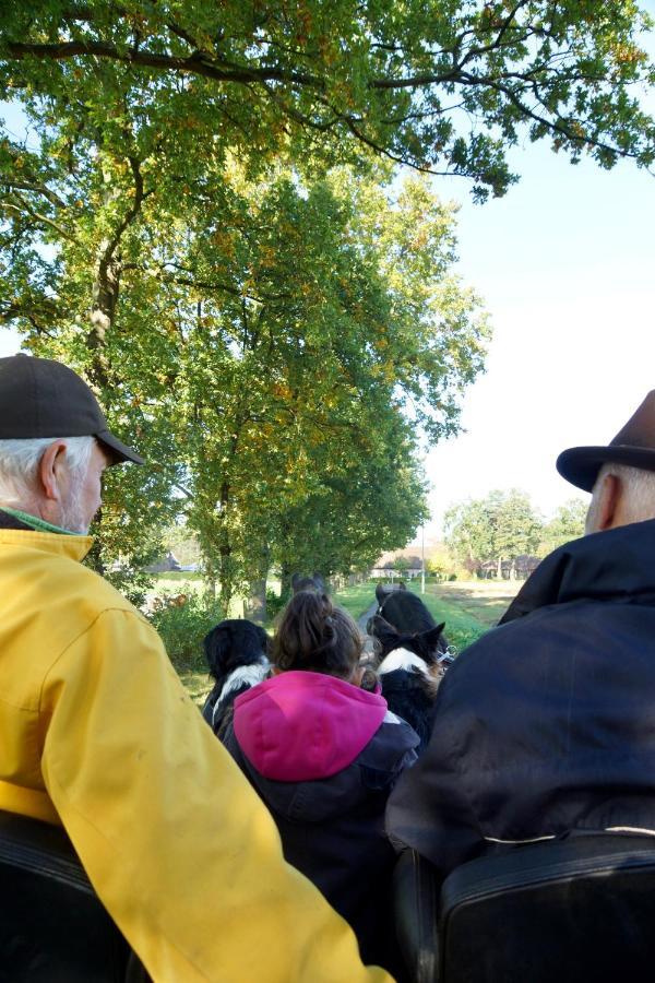 De Swaenhoeve Zoersel エクステリア 写真