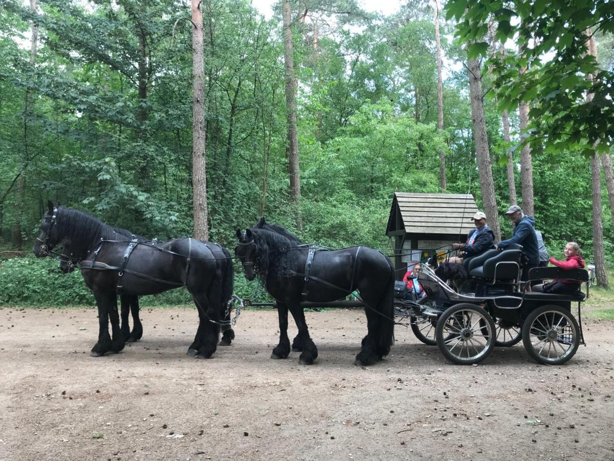 De Swaenhoeve Zoersel エクステリア 写真