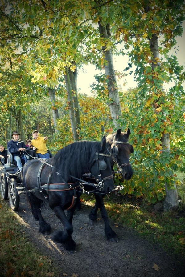 De Swaenhoeve Zoersel エクステリア 写真