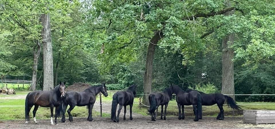 De Swaenhoeve Zoersel エクステリア 写真