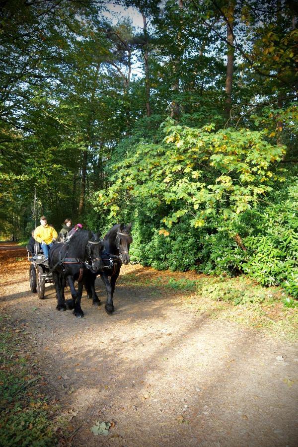 De Swaenhoeve Zoersel エクステリア 写真